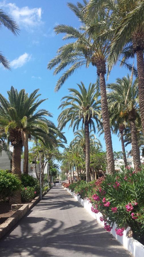Simple Apartment Frontera Primavera Pool In South Tenerife コスタ・デル・シレンチオ エクステリア 写真